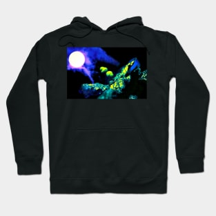 The Full Moon Acorns Hoodie